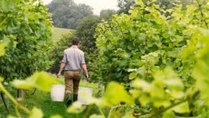 A man with short brown hair, wearing a cheque shirt, brown trousers, and wellies, carries two large white buckets through a lush green orchard.